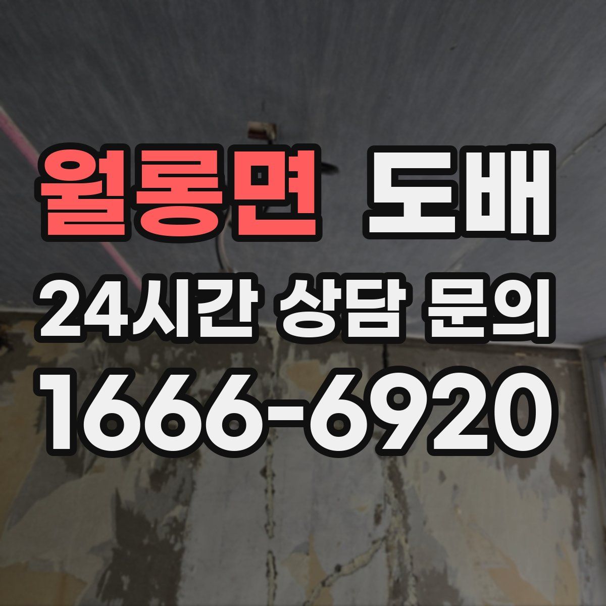 월롱면 도배