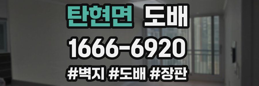 탄현면 도배