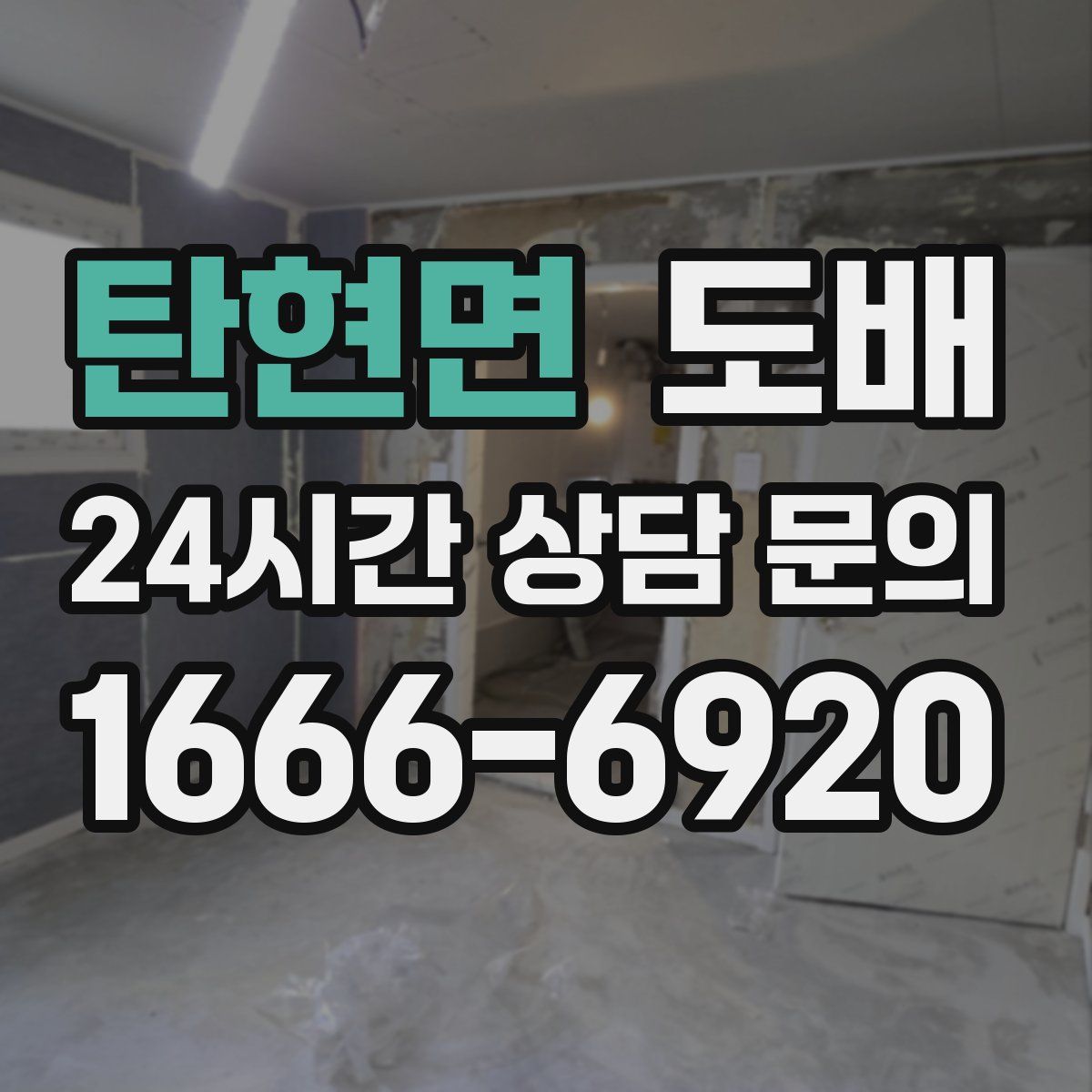 탄현면 도배