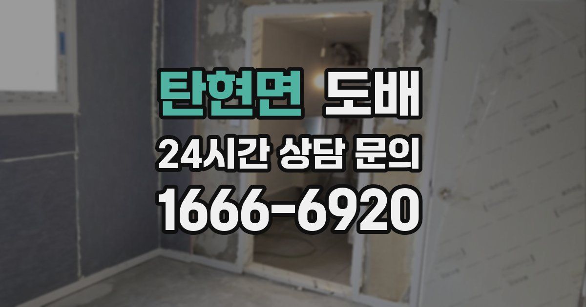 탄현면 도배