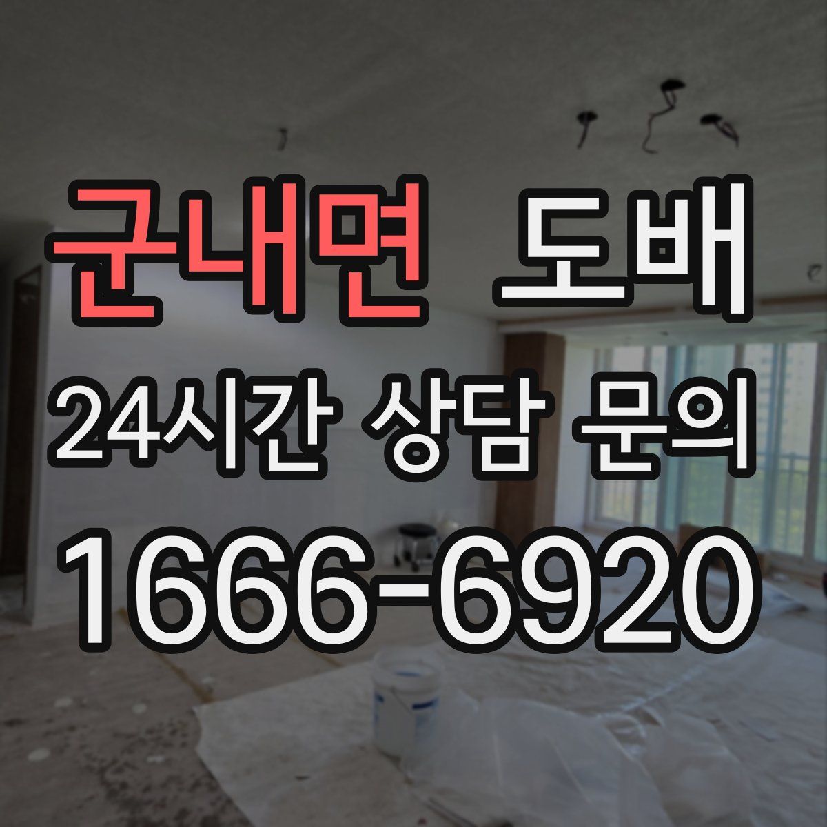 군내면 도배