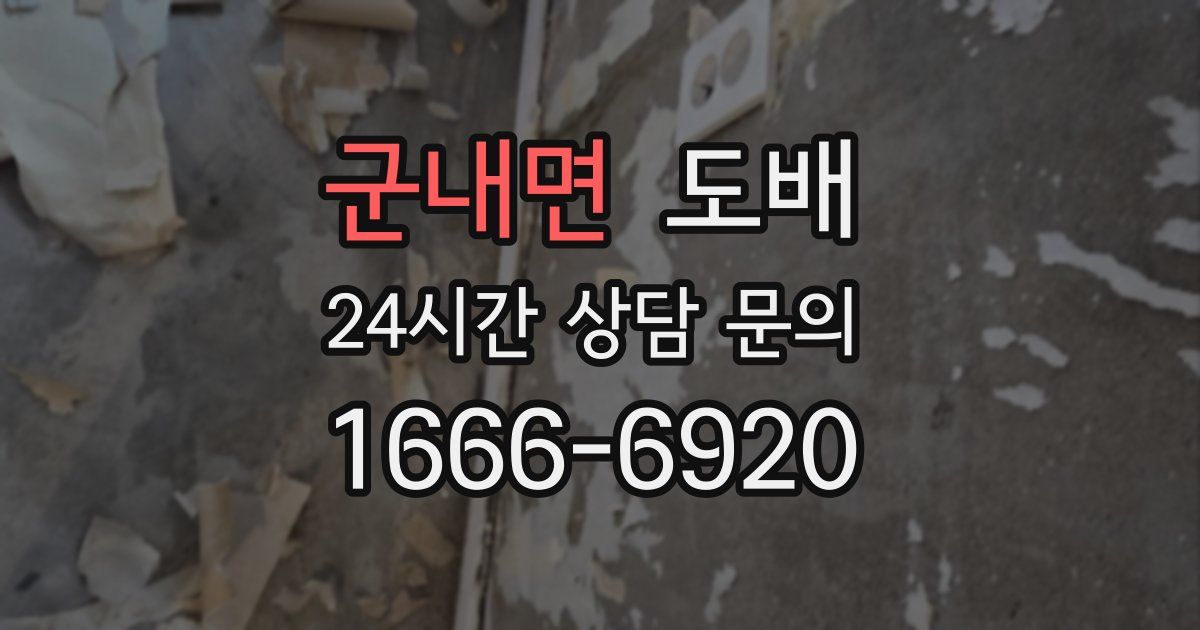 군내면 도배
