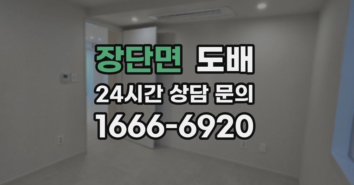 장단면 도배