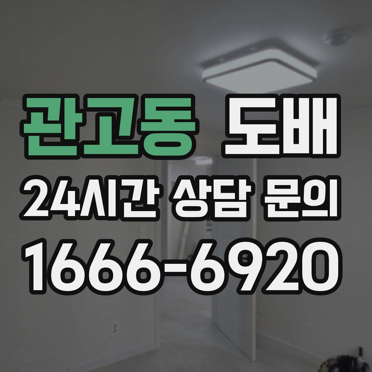 관고동 도배