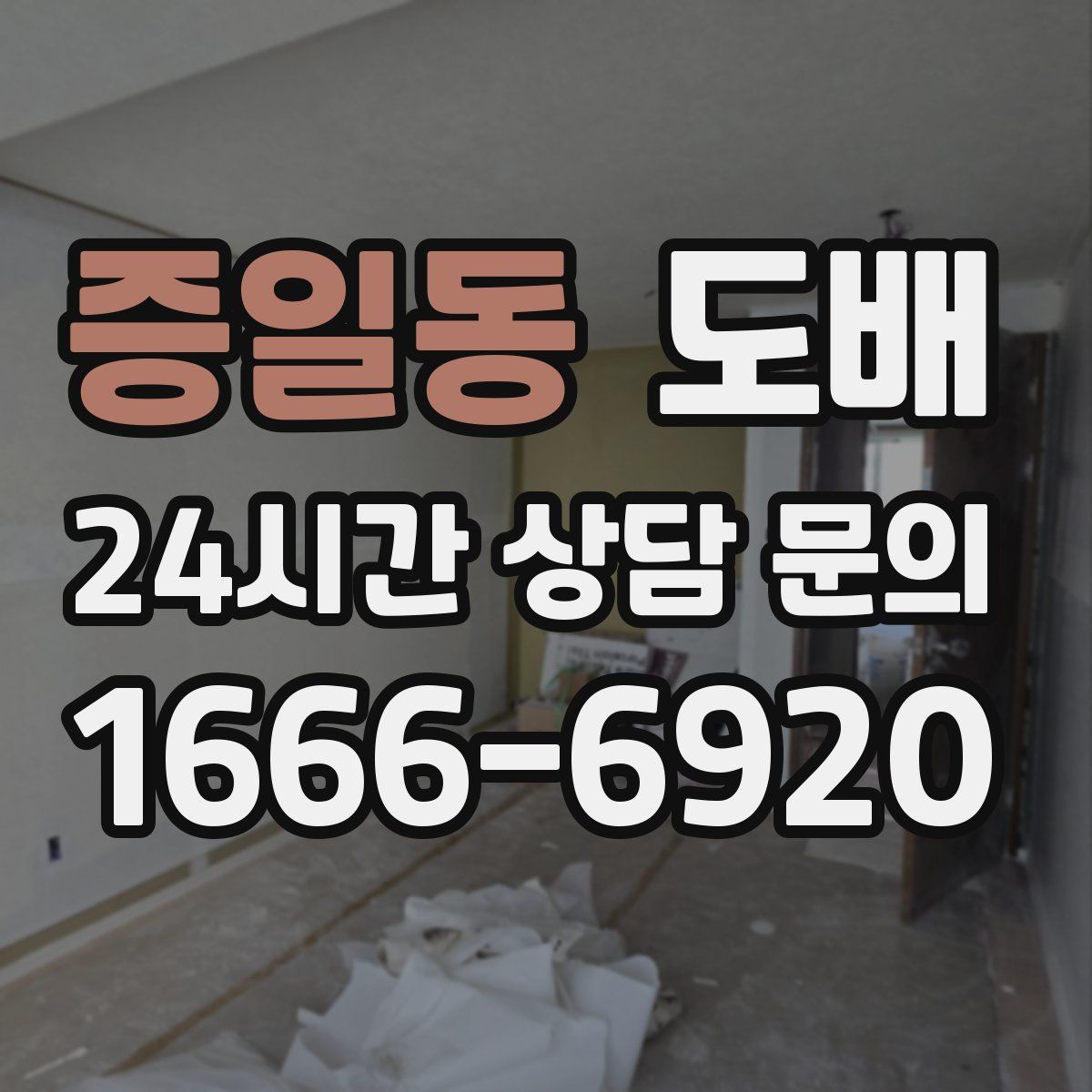 증일동 도배