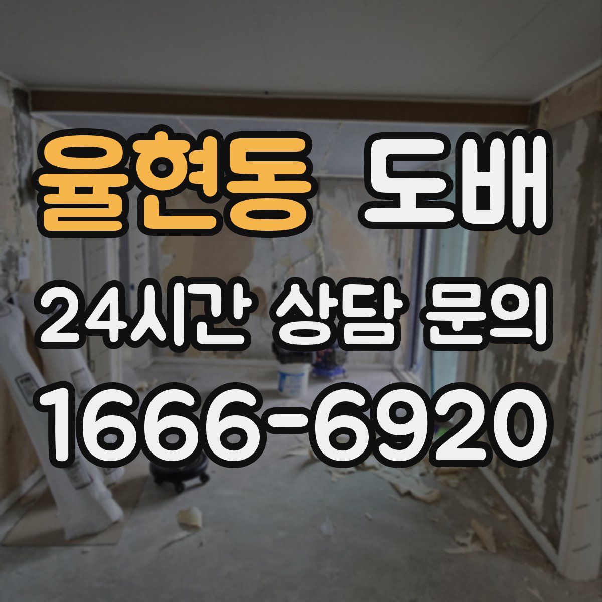 율현동 도배