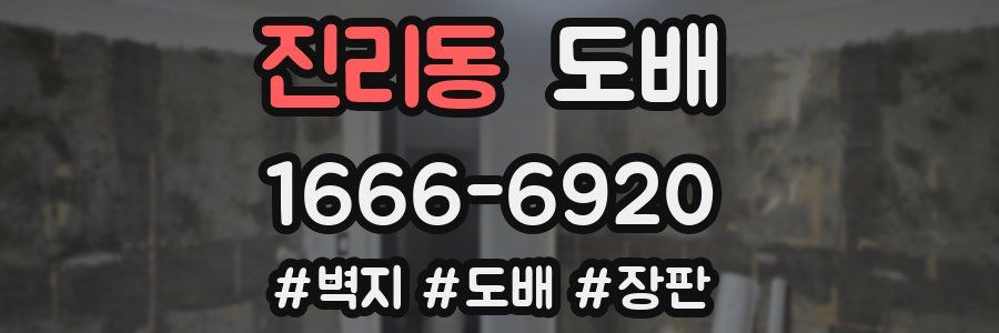 진리동 도배