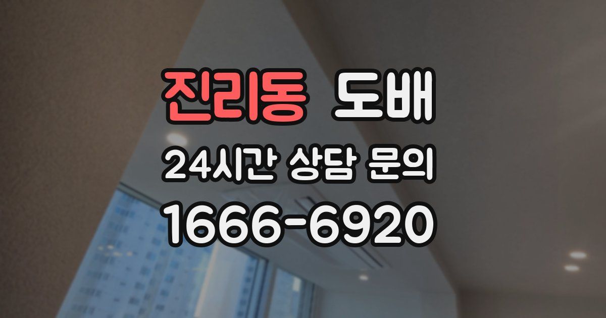 진리동 도배