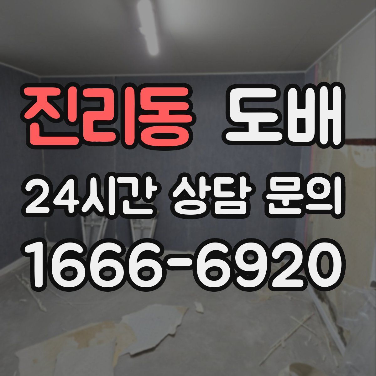 진리동 도배