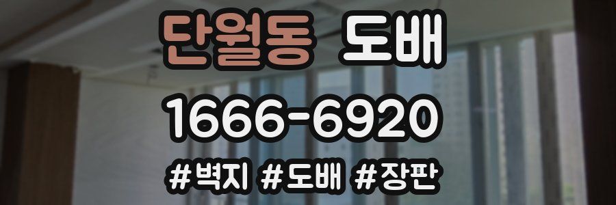 단월동 도배