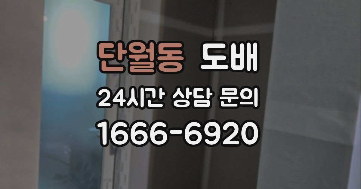 단월동 도배
