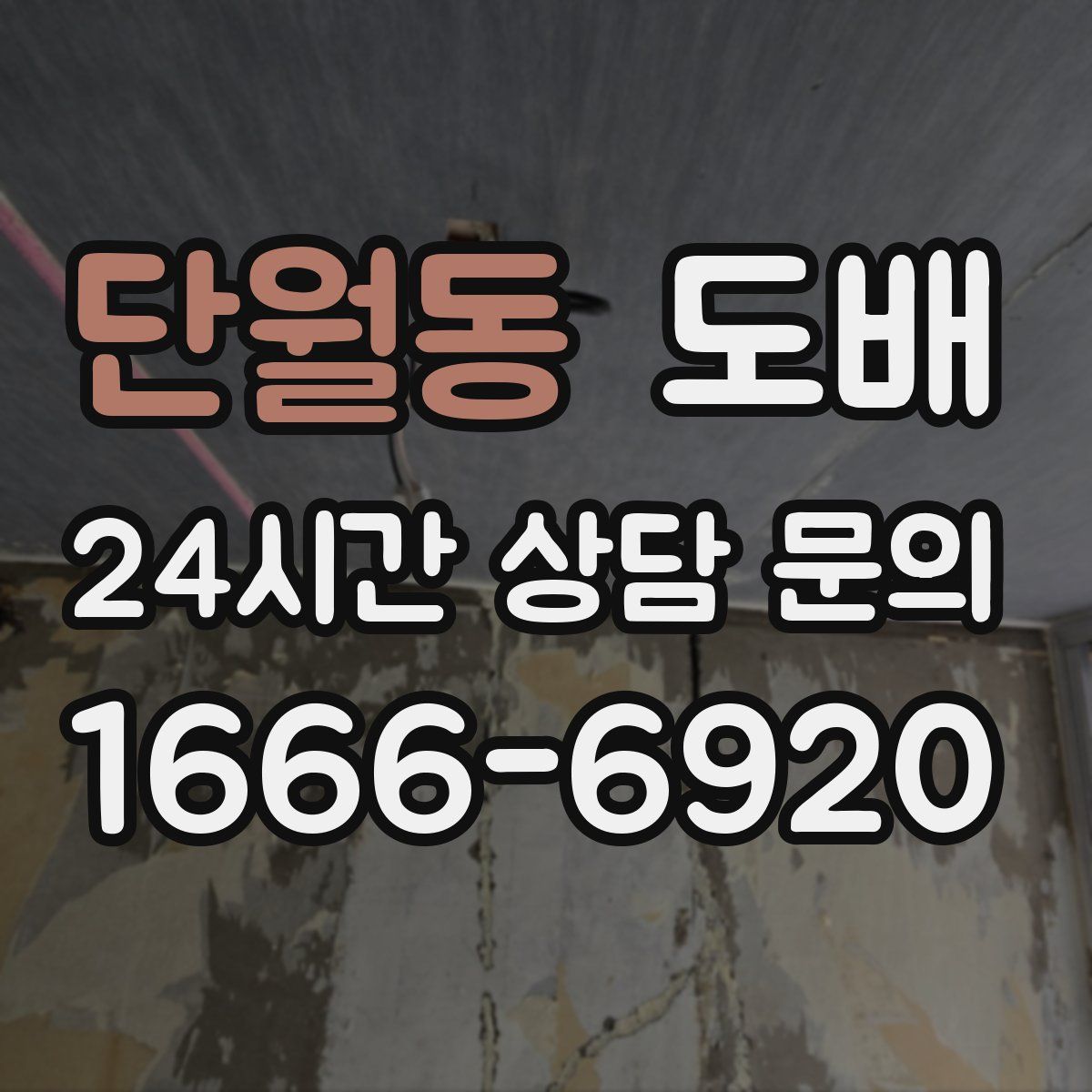 단월동 도배
