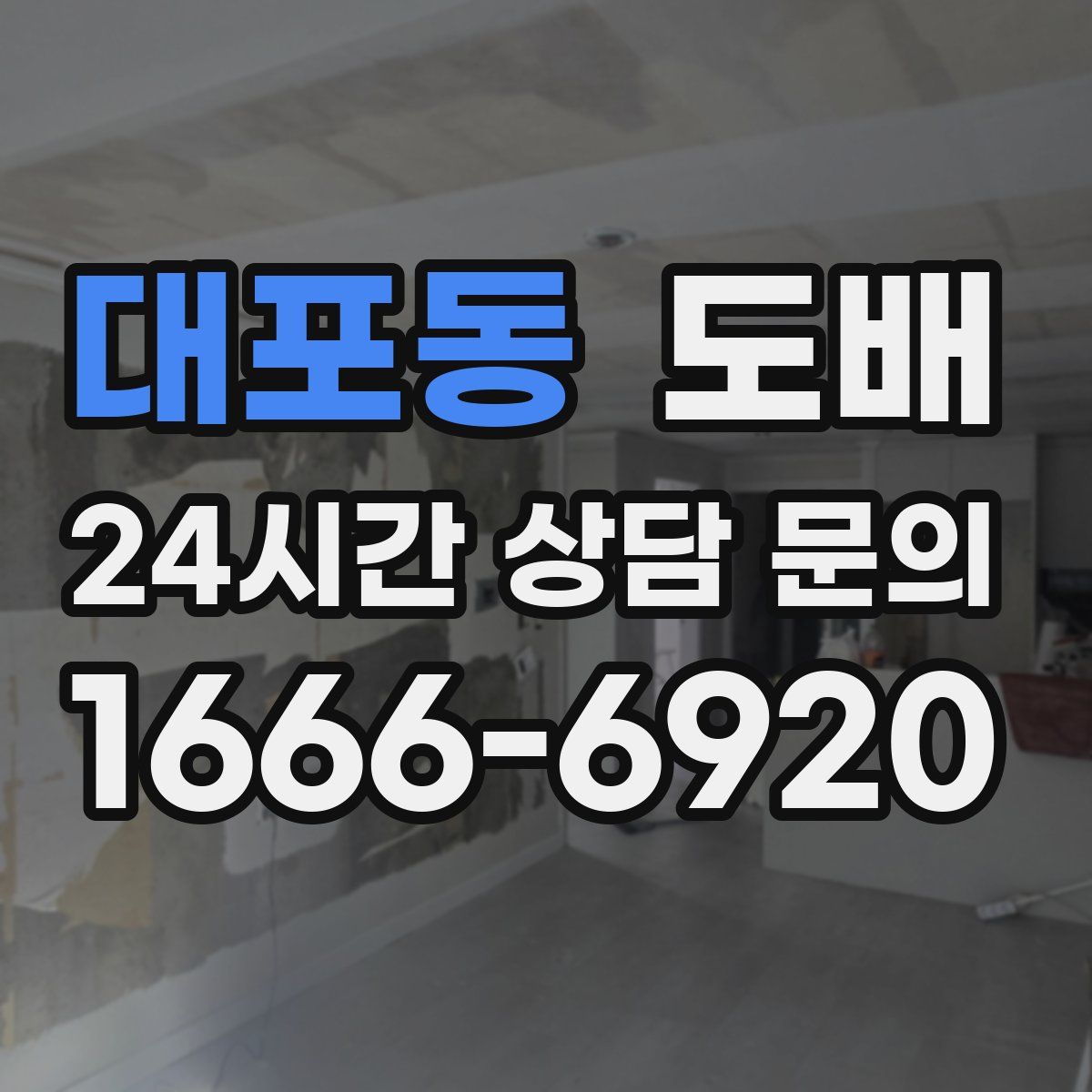 대포동 도배