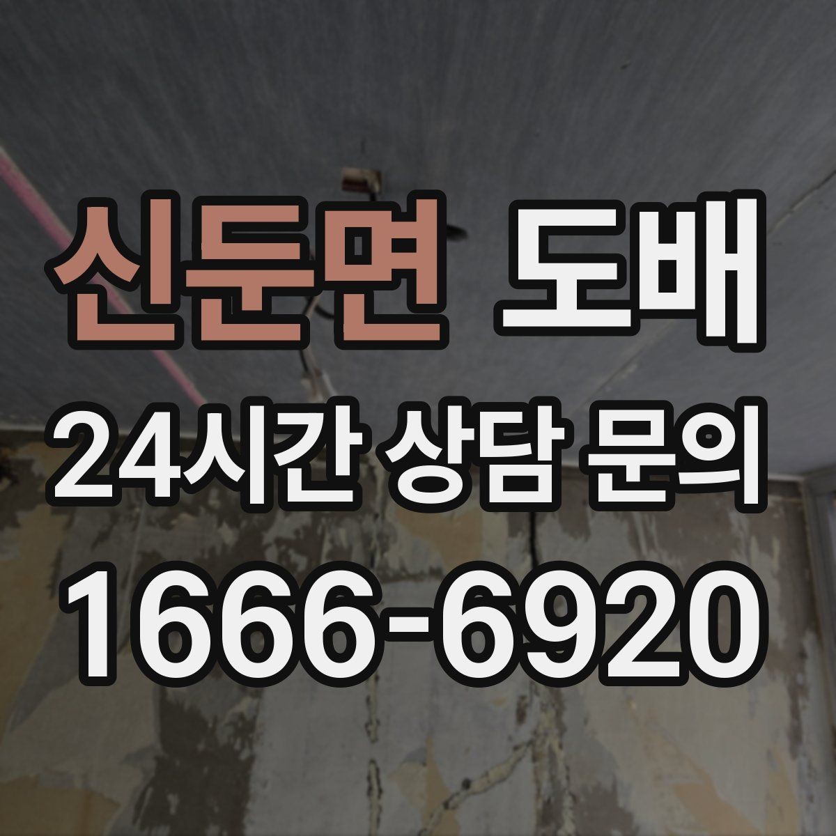 신둔면 도배 곰팡이 흔적이 보일 때 대응 방법