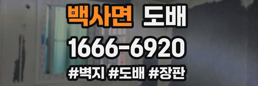 백사면 도배