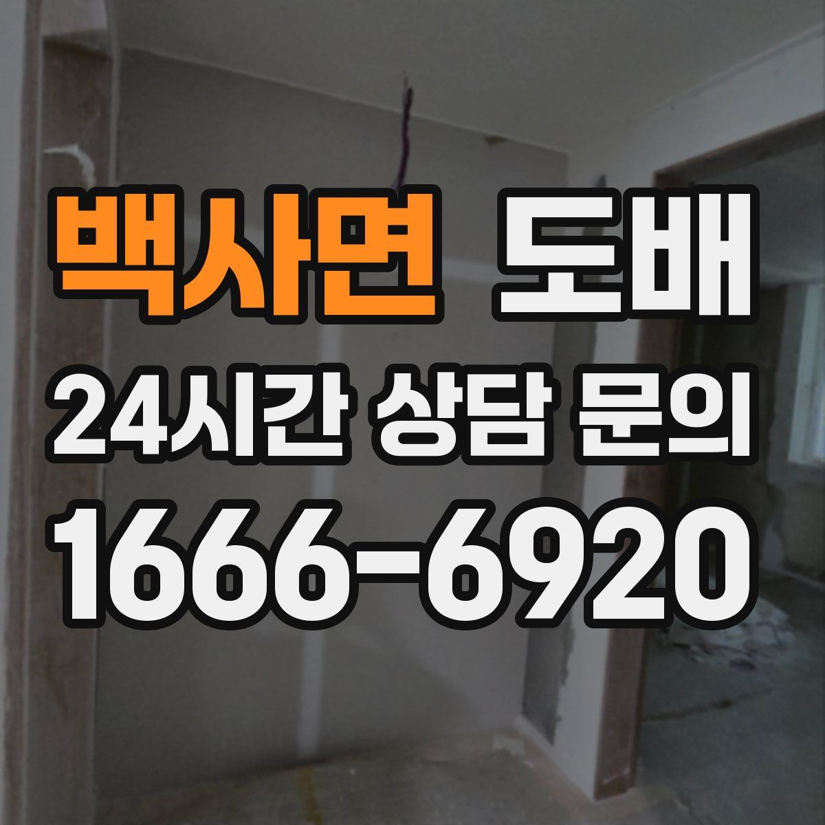 백사면 도배
