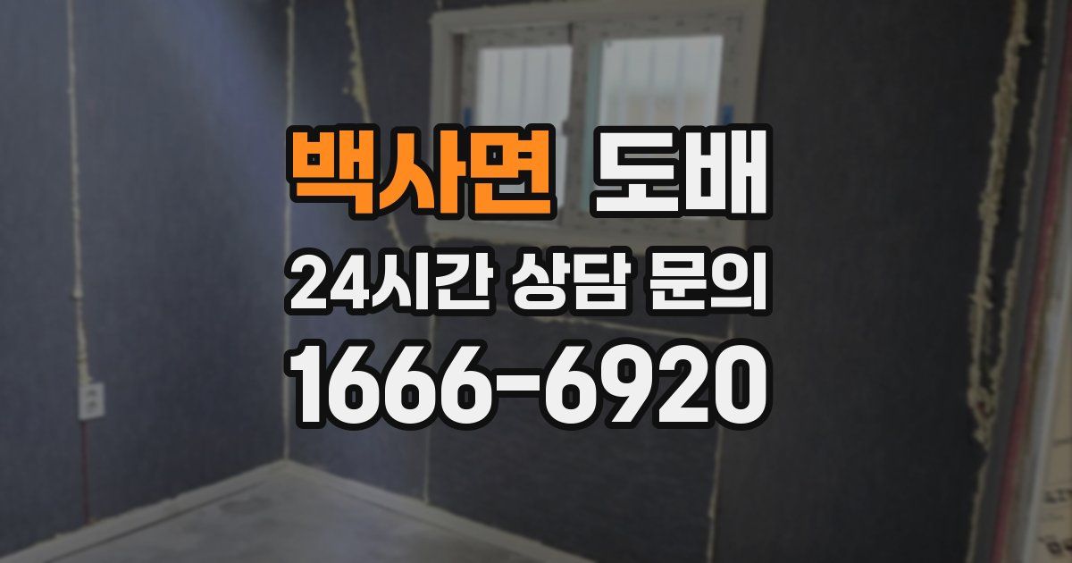 백사면 도배