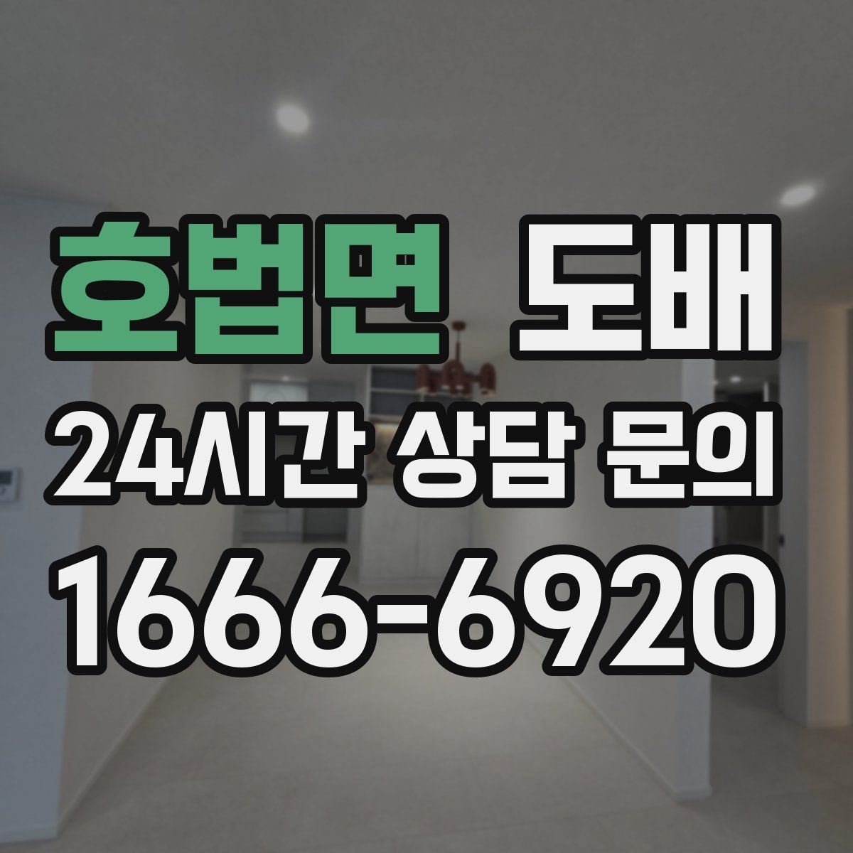 호법면 도배
