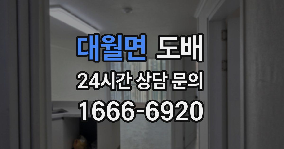 대월면 도배