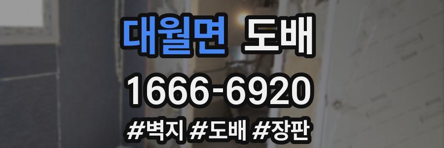 대월면 도배