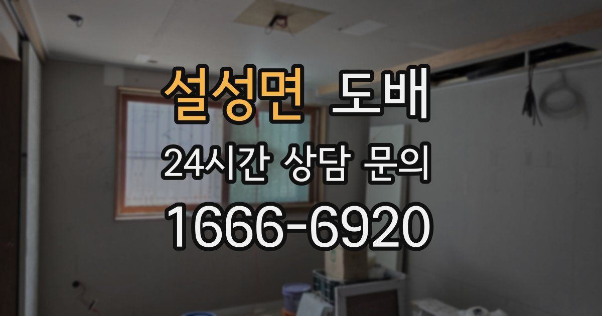 설성면 도배