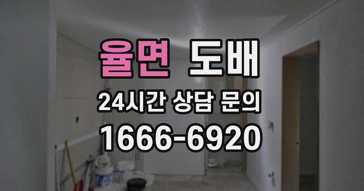 율면 도배