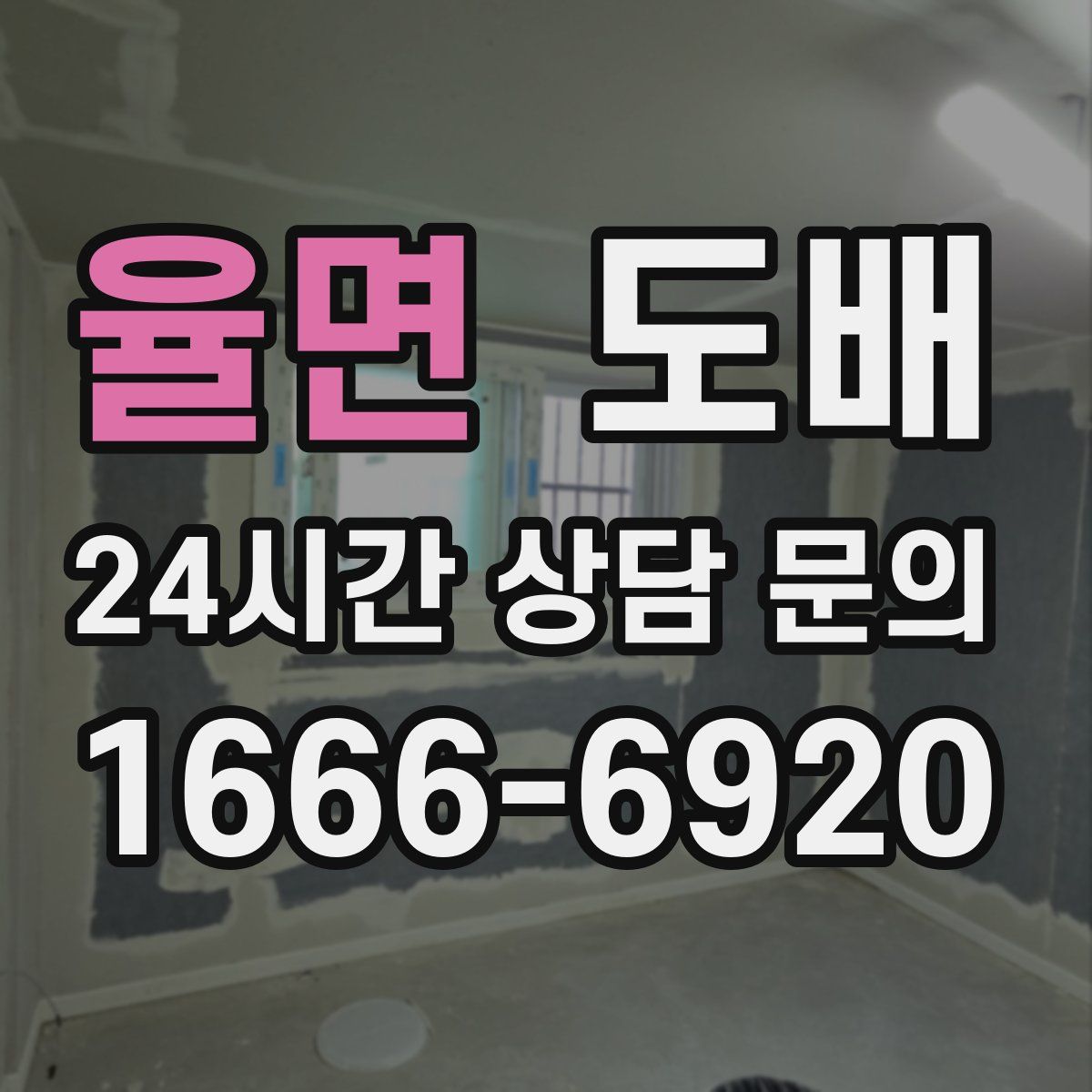 율면 도배
