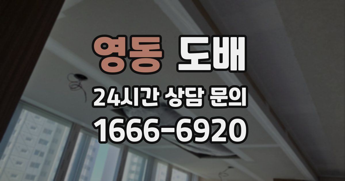 영동 도배