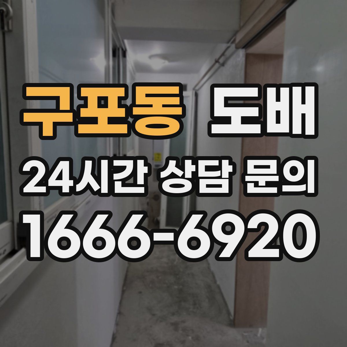 구포동 도배