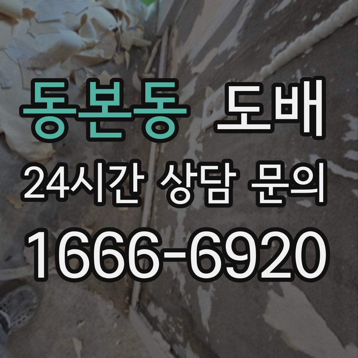 동본동 도배