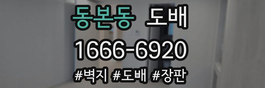 동본동 도배