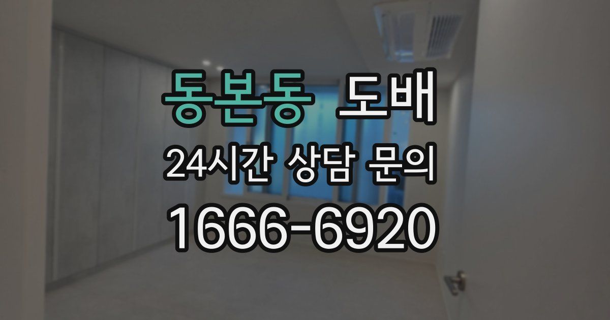 동본동 도배