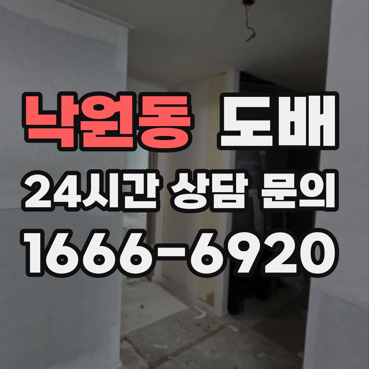 낙원동 도배
