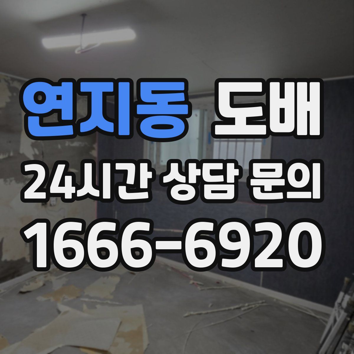 연지동 도배