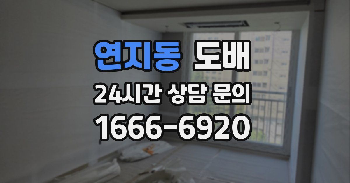 연지동 도배