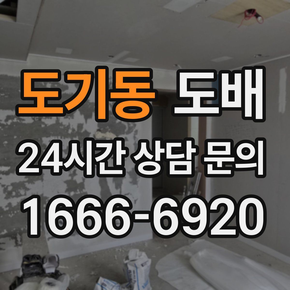 도기동 도배
