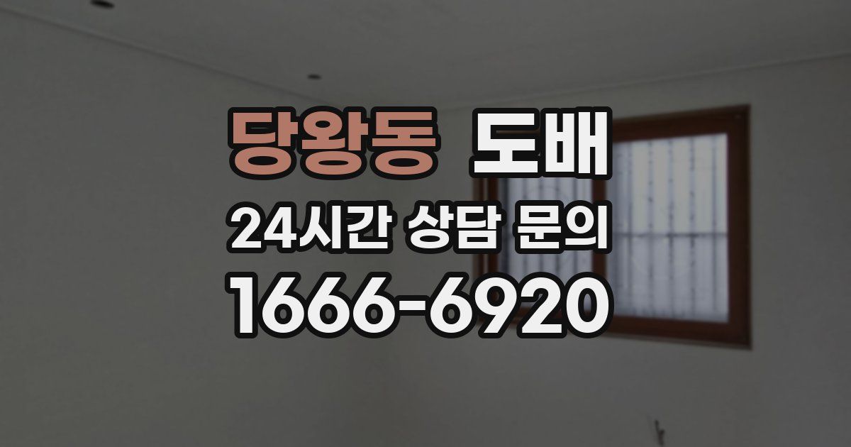 당왕동 도배