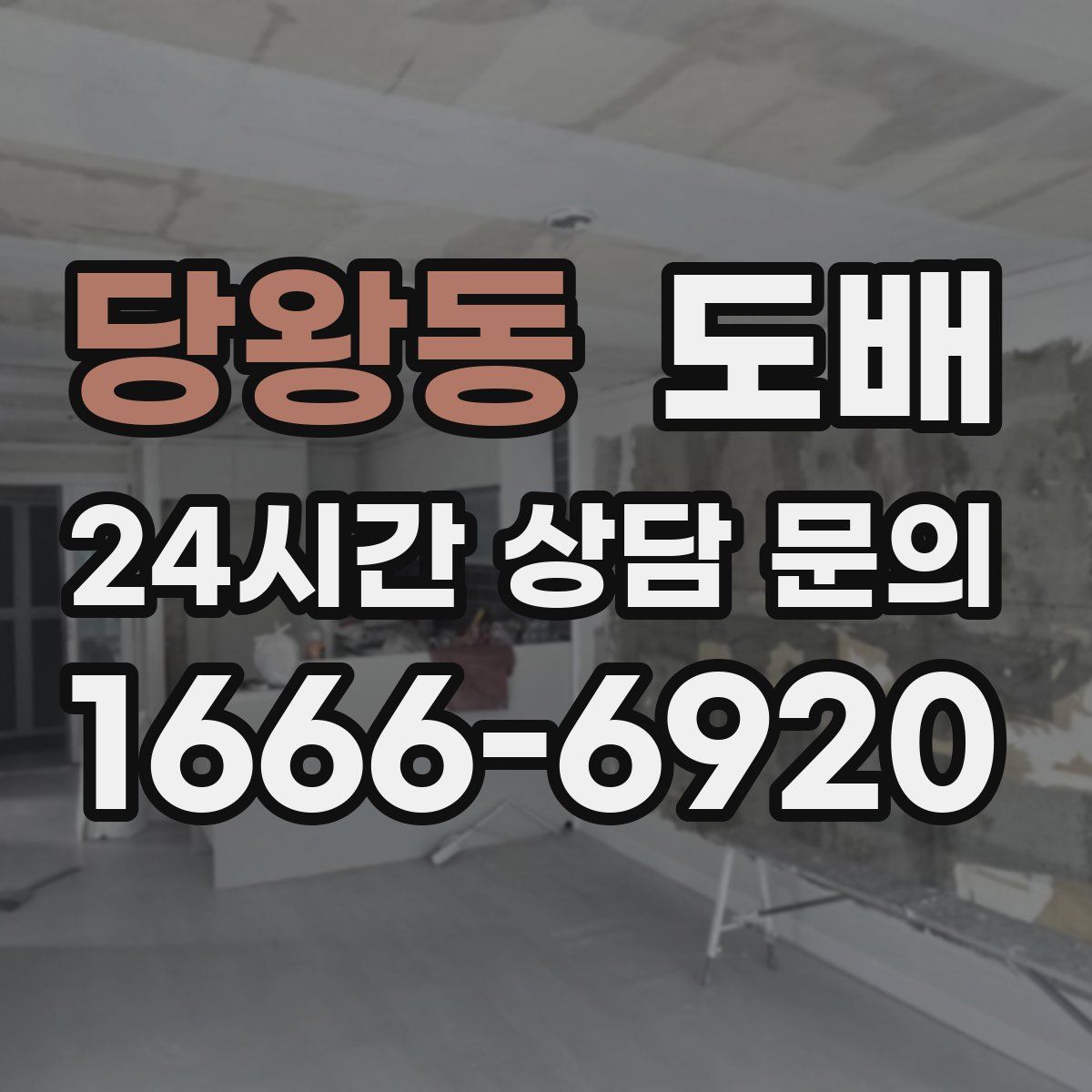 당왕동 도배