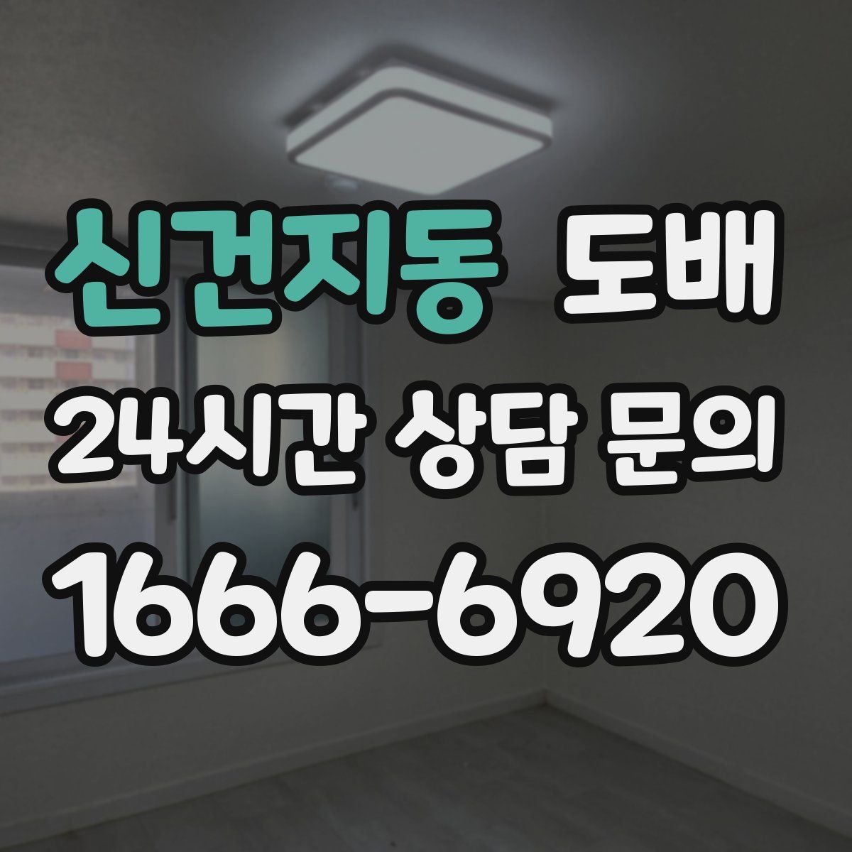 신건지동 도배