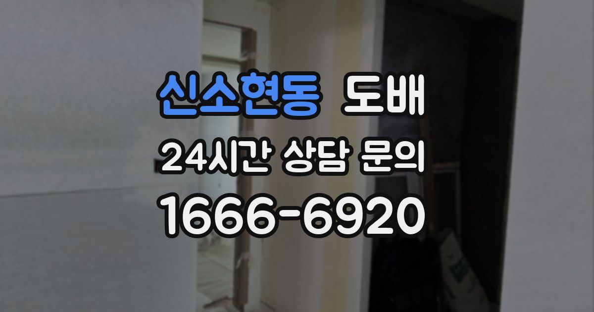 신소현동 도배