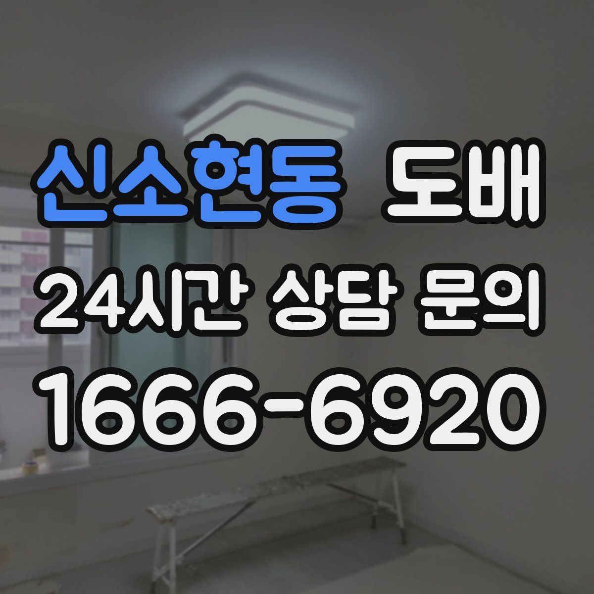 신소현동 도배
