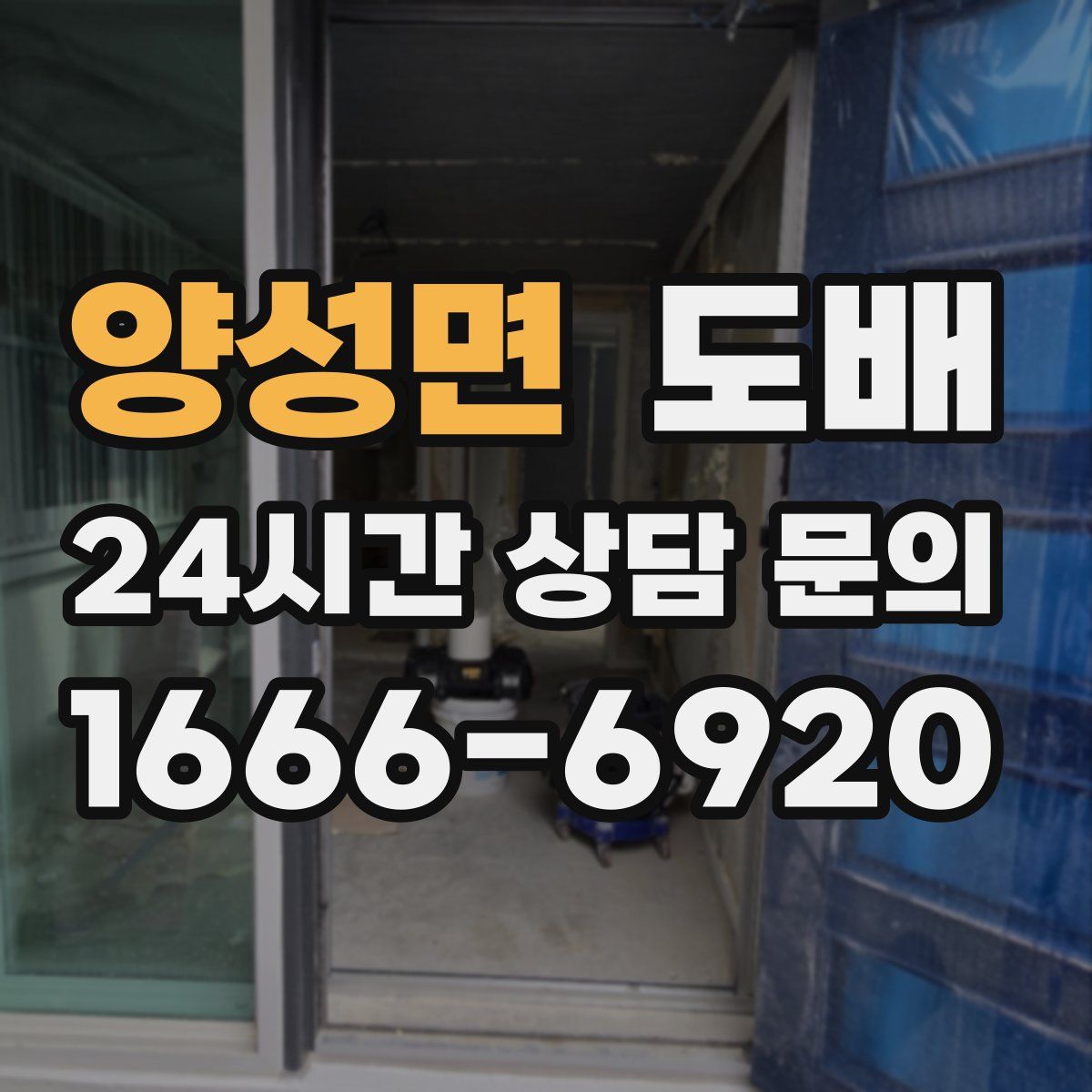 양성면 도배