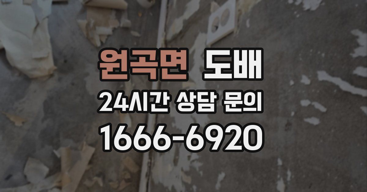 원곡면 도배
