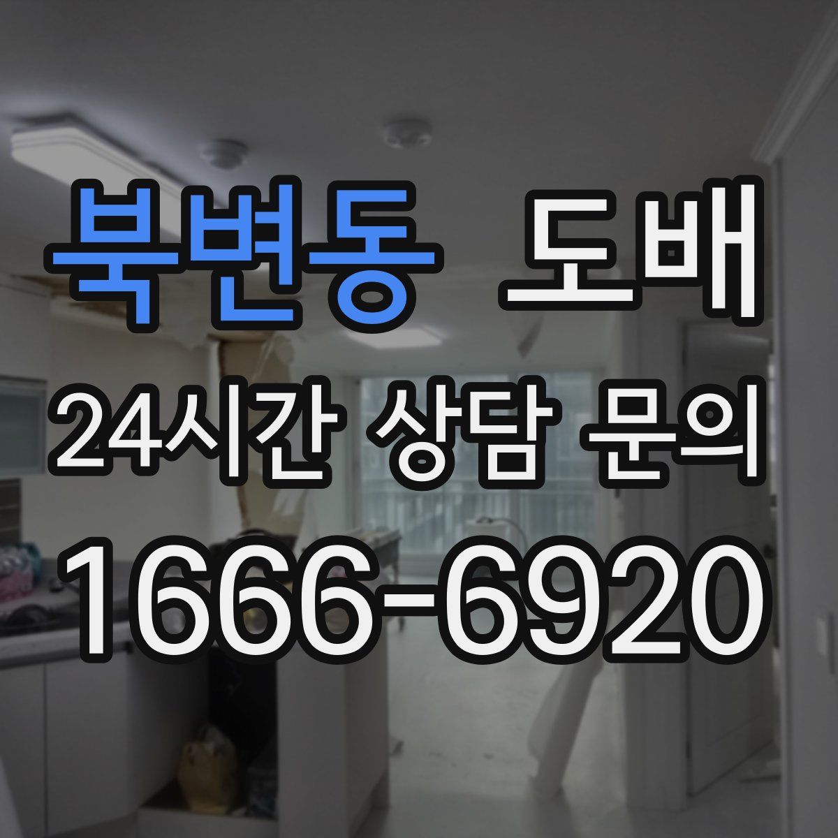 북변동 도배