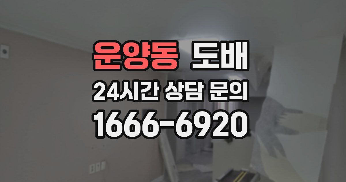 운양동 도배