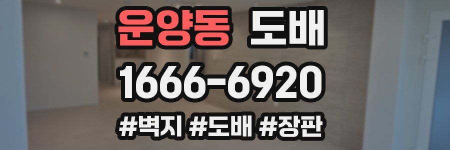 운양동 도배