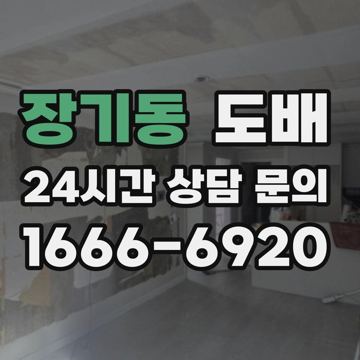 장기동 도배