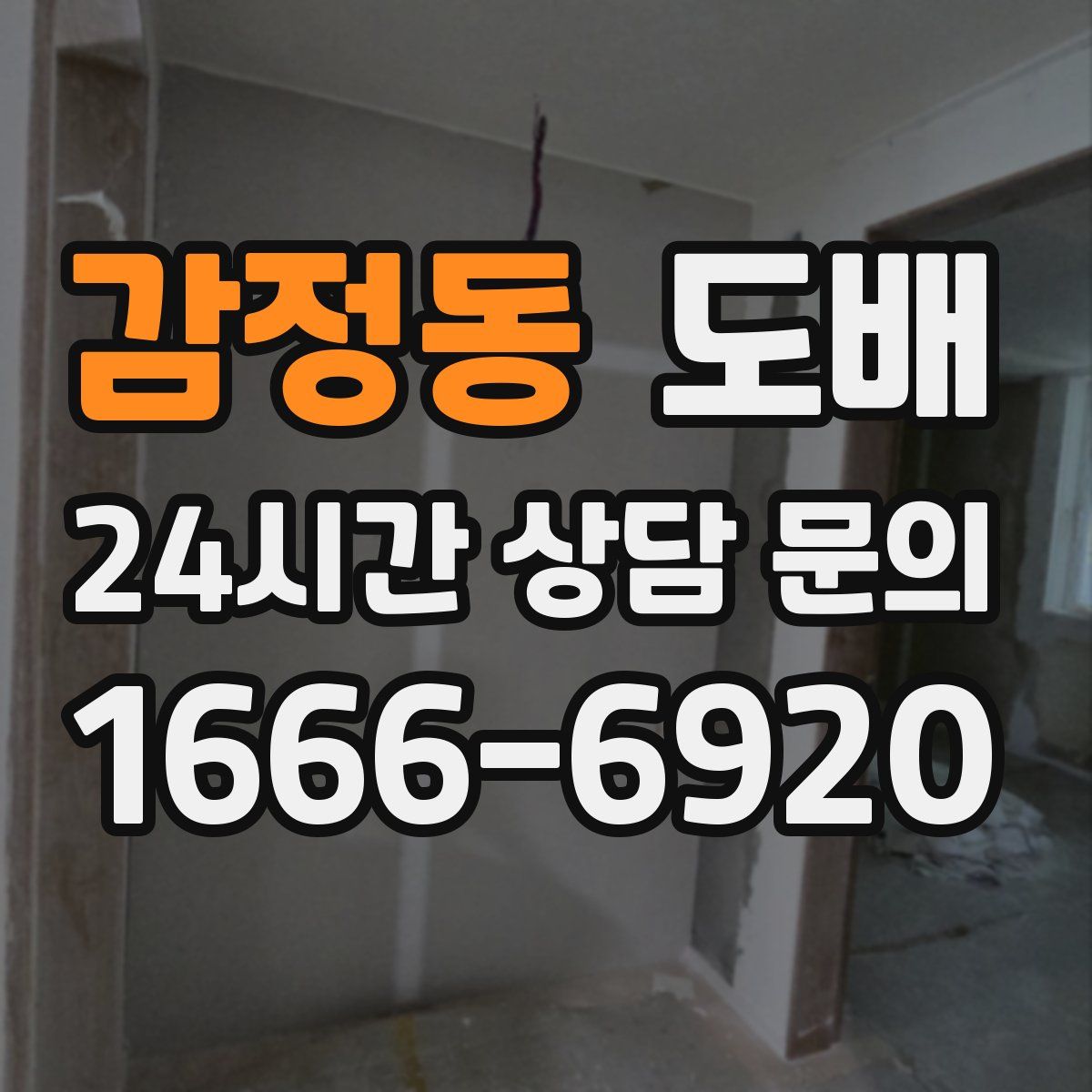 감정동 도배