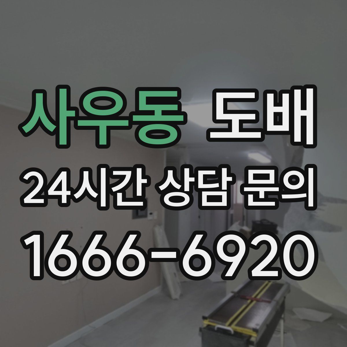 사우동 도배