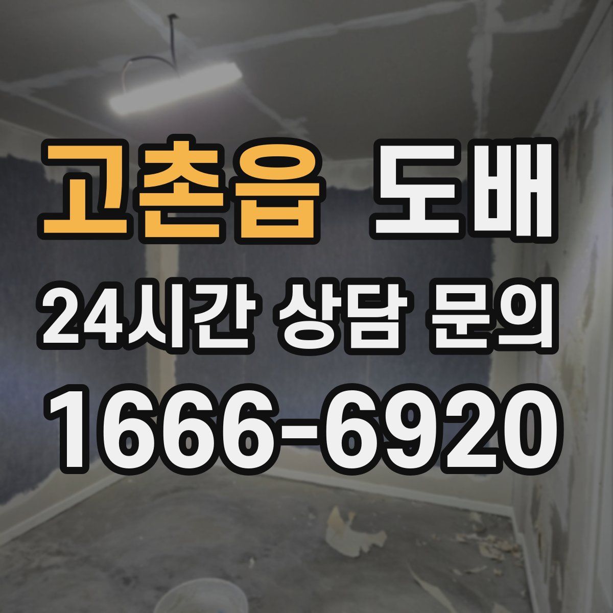 고촌읍 도배